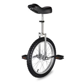 18in Wheel Unicycle Chrome